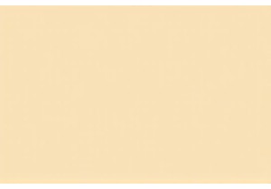 Action Cams for Outdoor Adventures Best Sport Camera Guide