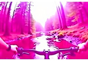 Action Cams for Outdoor Adventures Real World Use Analysis