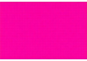 Honest Evaluation of Air Fryers Real Performance Revealed