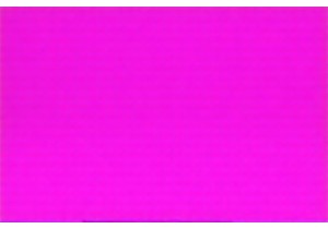 All Terrain Electric Scooters for Rough Surfaces