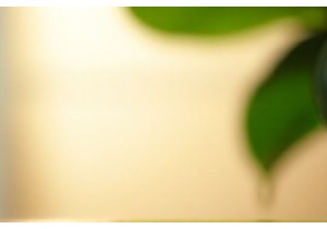 Unique Chinese Gifts Perfect for Every Occasion and Budget