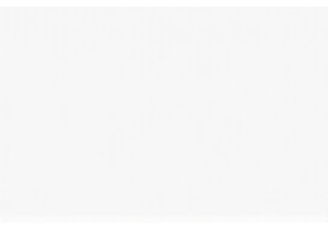 Ninja Foodi Dual Zone Air Fryer Precision Cooking Results Analyzed