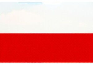 In Depth Review of the Latest Drones for Outdoor Adventures