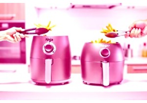 Air Fryer Showdown Which Model Delivers Crispy Results Every Time