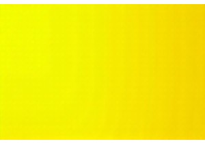 Explore Viral Chinese Products with Global Appeal