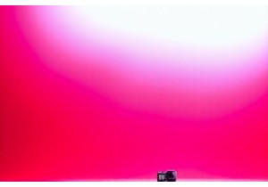 Best Action Cameras for Sports 2024 Real User Testing Results