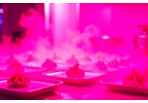 Robotic Dumpling Folder That Mimics Grandma’s Technique