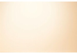 Rotisserie Air Fryers Crispiness Evaluation