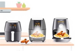 Air Fryer Showdown Which Model Delivers the Best Results