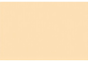 Action Cams for Outdoor Adventures Best Sports Camera Reviews