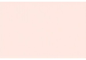 Discover the Most Useful Chinese Kitchen Gadgets on the Market