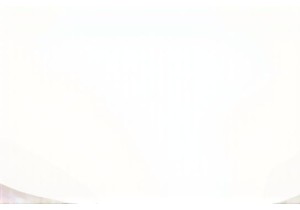 The Psychology Behind Why We Love Weird Chinese Products