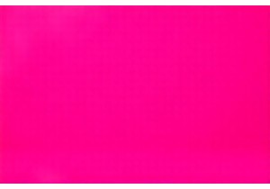 Air Fryers Under 100 Honest Review and Cooking Results