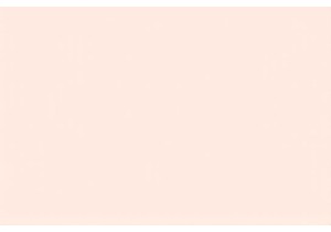 Best Air Fryers Reviewed Consumer Guide to Home Cooking Tech