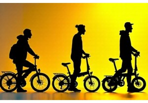 Foldable Bikes Compared Expert Insights on Performance Value