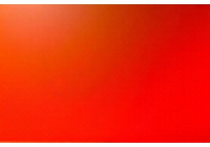 Action Cams for Extreme Sports Which One Fits Your Needs