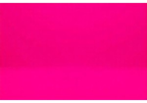 All Terrain Electric Scooters Ride Comfort Test