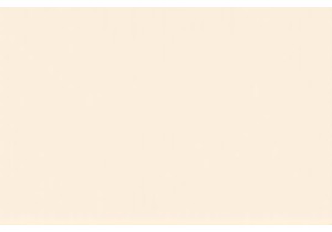 Must Have Chinese Kitchen Gadgets for Quick Meal Prep