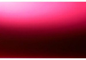 Robot Vacuums That Work on Pet Hair Effectively