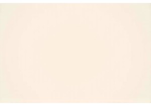 Best Electric Scooters 2024 Performance and Range Tested