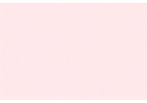 Air Fryer Showdown Which One Wins in Performance and Value