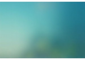 Top Drones for Beginners Detailed Performance and Features Test