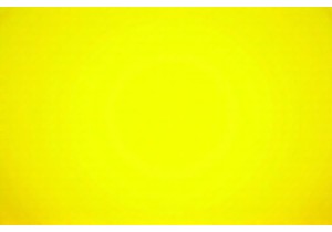 Best Viral Chinese Products You Must Try in 2024