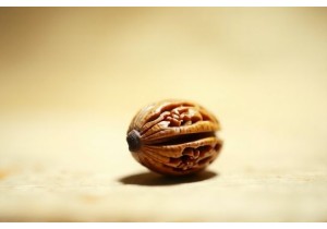 The Art of Walnut Carving in Chinese Heritage Crafts