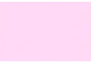 Portable Chinese Kitchen Gadgets for Travel Use