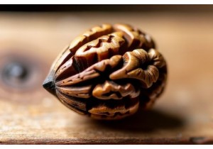 Walnut Carving Design Inspiration Sources