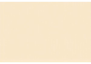 Essential Scholar's Objects Found in Classical Studies