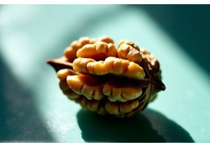 Wenwan Walnut Seasoning Stages for Perfect Finish