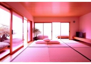 Oriental Aesthetics in Modern Interior Design Concepts