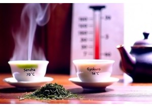 Brewing Temperature Tips for Delicate Green Teas
