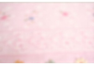 Authentic Hand Stitched Embroidery from Jiangsu Workshops