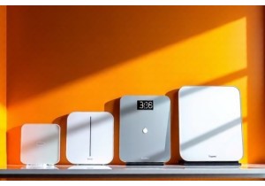 Smart Scale Accuracy Tested Across Popular Chinese Brands