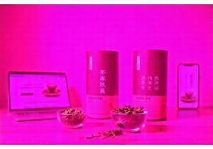 How to Choose the Best Chinese Green Tea Online