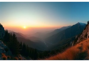 Ultra Wide Lens Performance in Chinese Phone Cameras