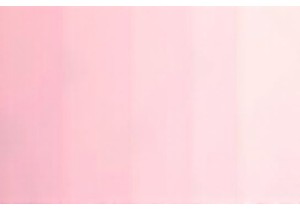 Top Rated Home Gym Equipment for Full Body Training