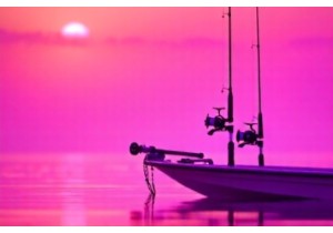 Rod Holders and Reels for Freshwater Fishing