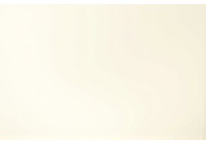 Behind the Seams The Life of a Master Embroiderer