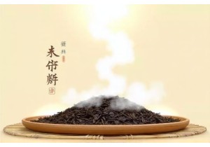 Fermentation Secrets Behind Aged Pu Erh Tea