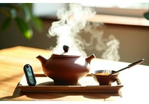 Zisha Pot Seasoning Process for First Time Pu Erh Owners