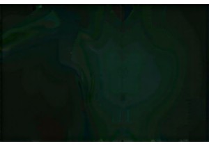 Sizuo Lou Walnut Growth Environment and Soil Requirements