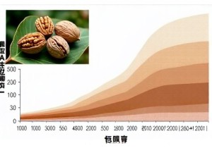 Four Seated Tower Walnut Shell Thickness and Age Correlation