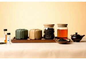 How to Choose Premium Pu Erh Tea for Aging and Health Benefits