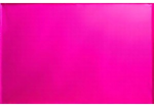 Spacious Family Sized Tents for Comfort Camping