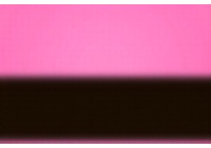 Award Winning Educational Toys from Chinese Makers