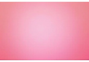 Affordable STEM Learning Tools for Curious Young Minds