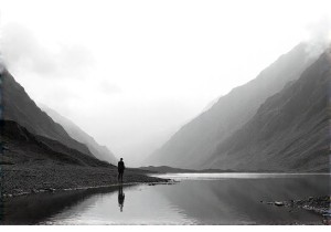 Vajra Seeds Sourcing Ethics and Himalayan Harvest Practices